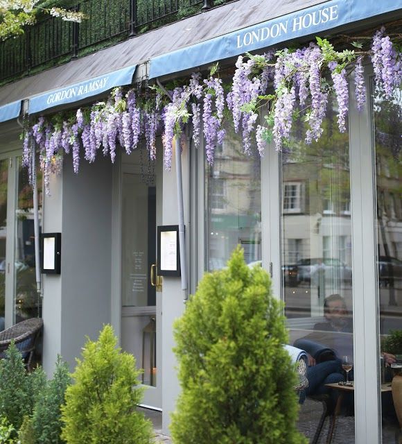 London House