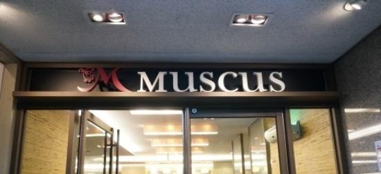 Muskus Yeouido