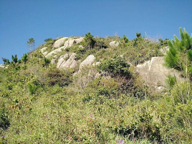 Trilha Da Galheta