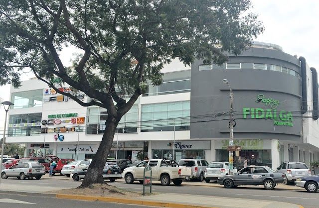 Fidalga