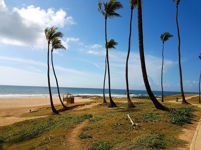 Alah Garden