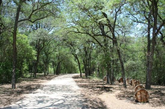 Brackenridge Park