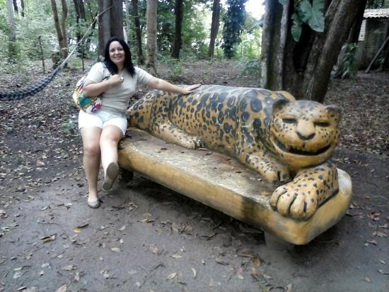 Ecological Park Forest of Dreams