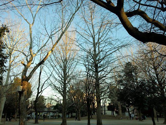 Nakano Kuritsu Araiyakushi Park