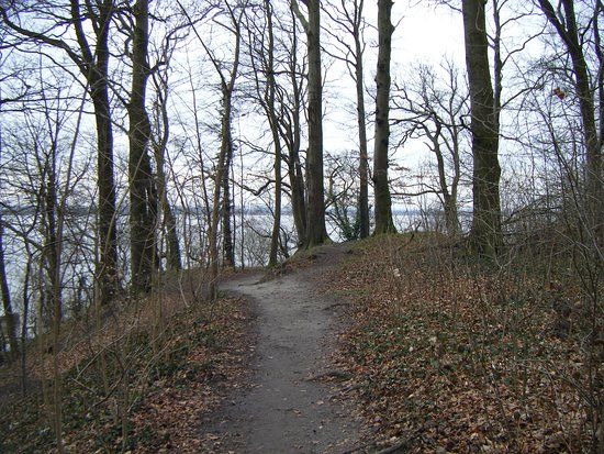 Hirsch Park