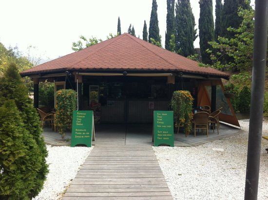 Cafeteria Jardin Botanico La Concepcion