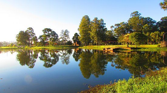 Parque Municipal São José dos Pinhais