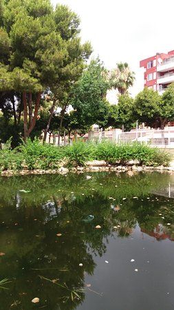 Botanic Cullera