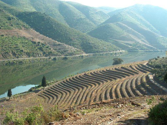 Douro