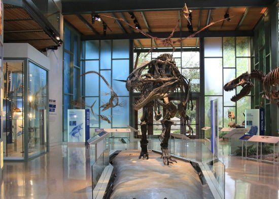 The Witte Museum