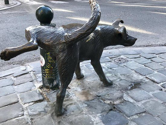 El perro que mea