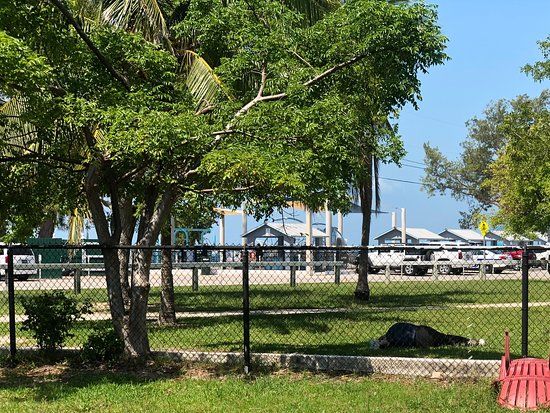 Higgs Beach Dog Park