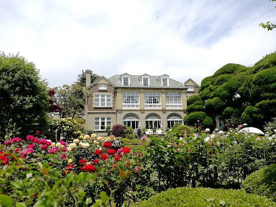 Casa Hatoyama