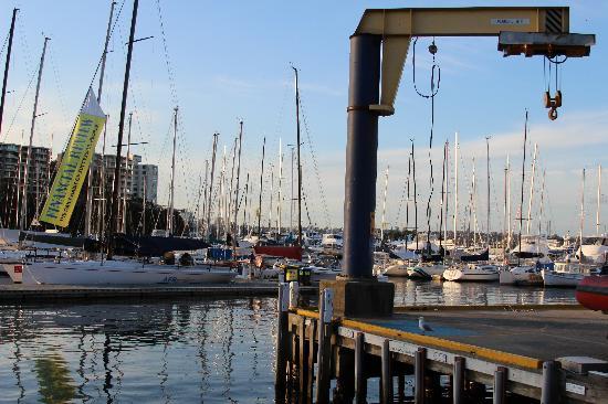 Cruising Yacht Club of Australia
