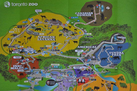 Zoológico de Toronto