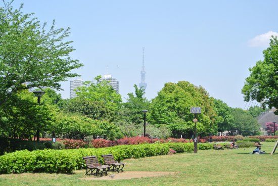 Parque de Kiba