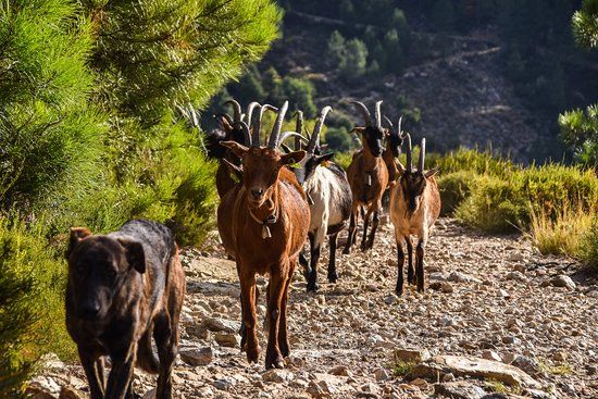 Parque Natural de Alvão