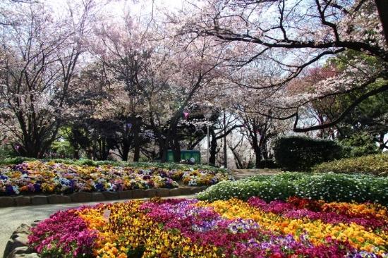 Parque Asukayama
