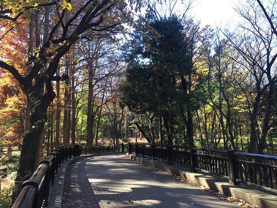 Parque Rinshinomori