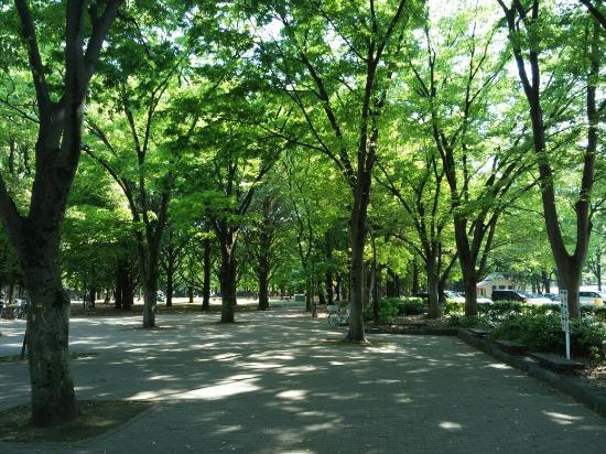 Roka Koshun-en Park