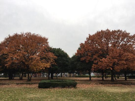 Nakagawa Park