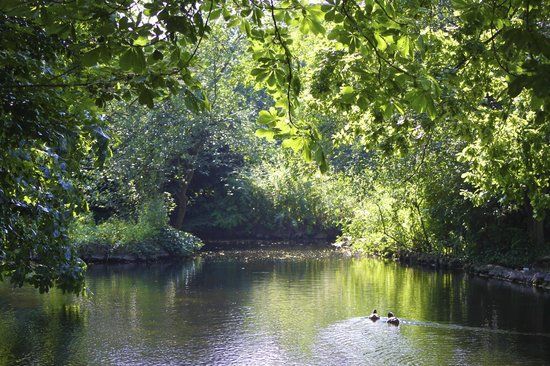 Lloyd Park