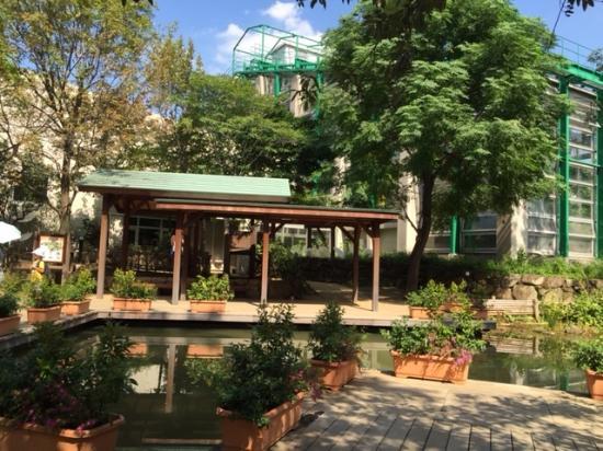 Parque de Coisas Vivas de Adachi
