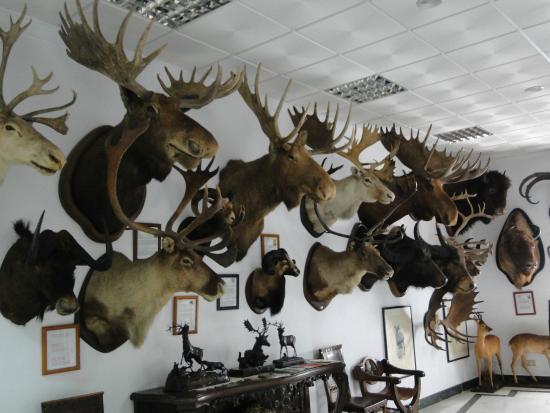 Museo Municipal