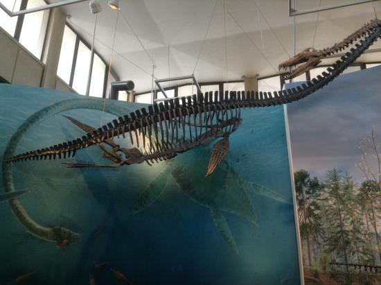 Museo Burke de Historia Natural y Cultura