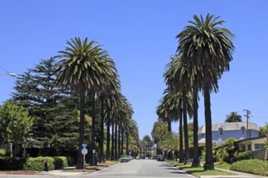Montana Avenue