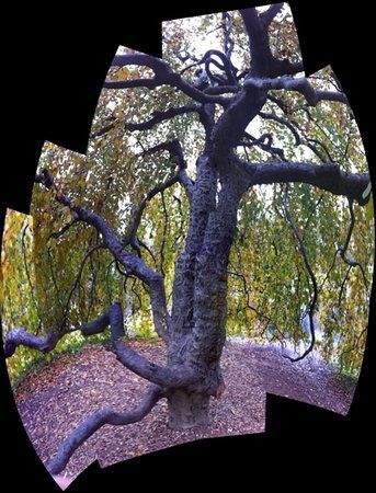 Brookside Nature Center