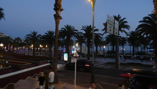 Palmero