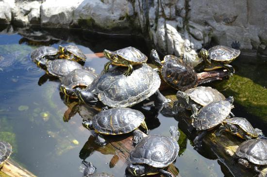 Zoo de Blankenberge