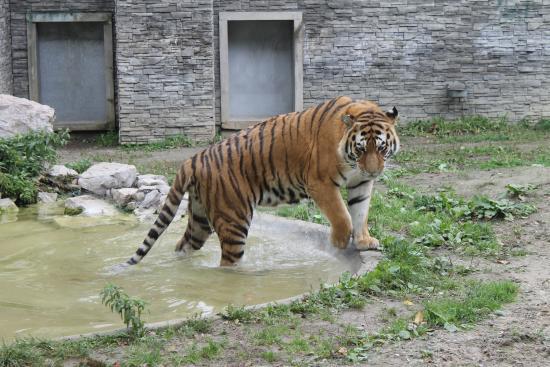 Krakow Zoo