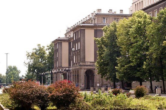 Rose Alley