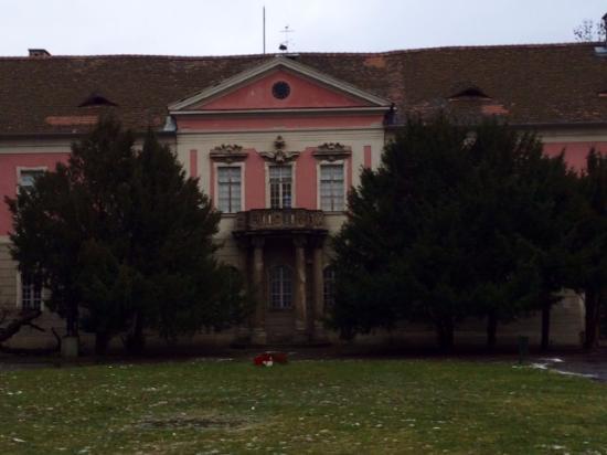 Kassak Muzeum