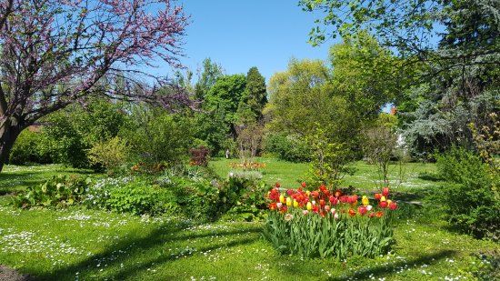 Jardín Botánico de Bucarest
