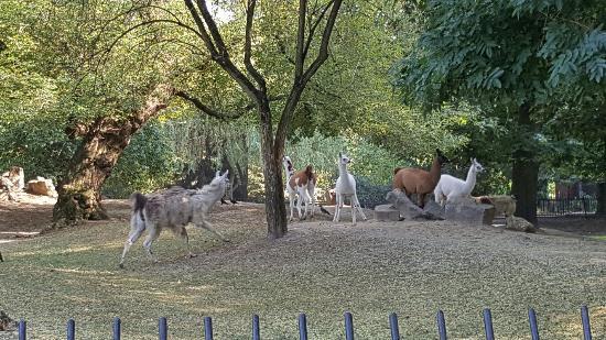 Jardín zoológico de Varsovia