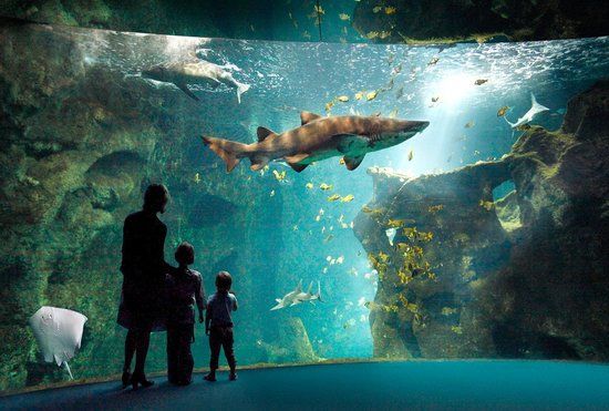 Acuario de La Rochelle