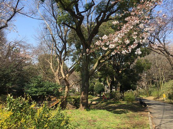 Parque Toyama