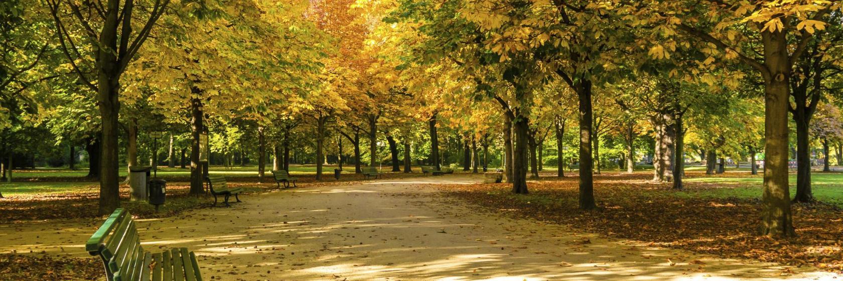 Grosser Tiergarten