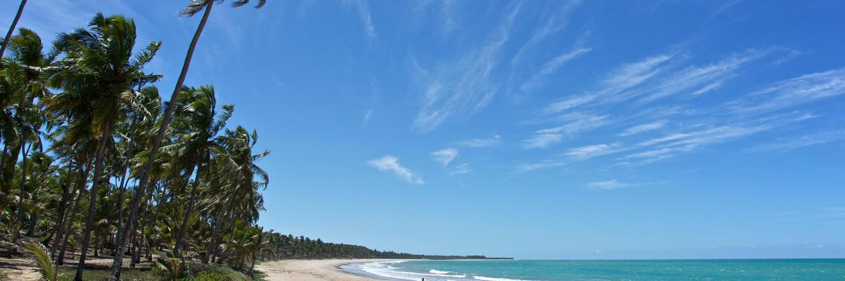 Mermaid Beach