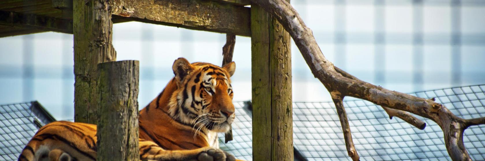 Jardim Zoológico de São Paulo