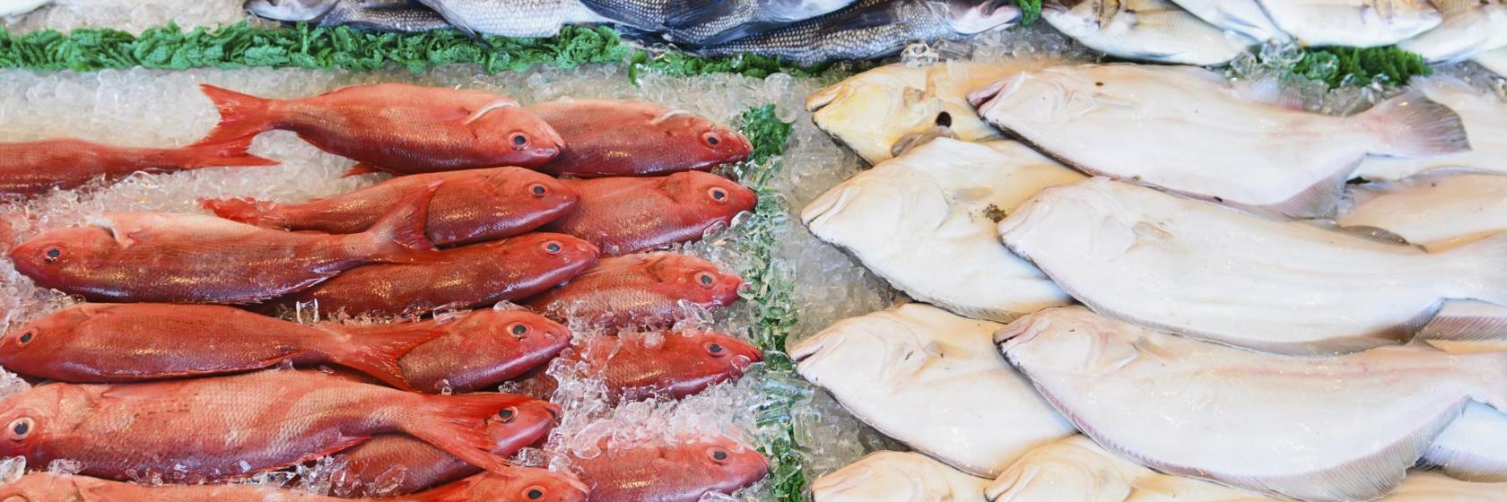 Mercado de Peixe