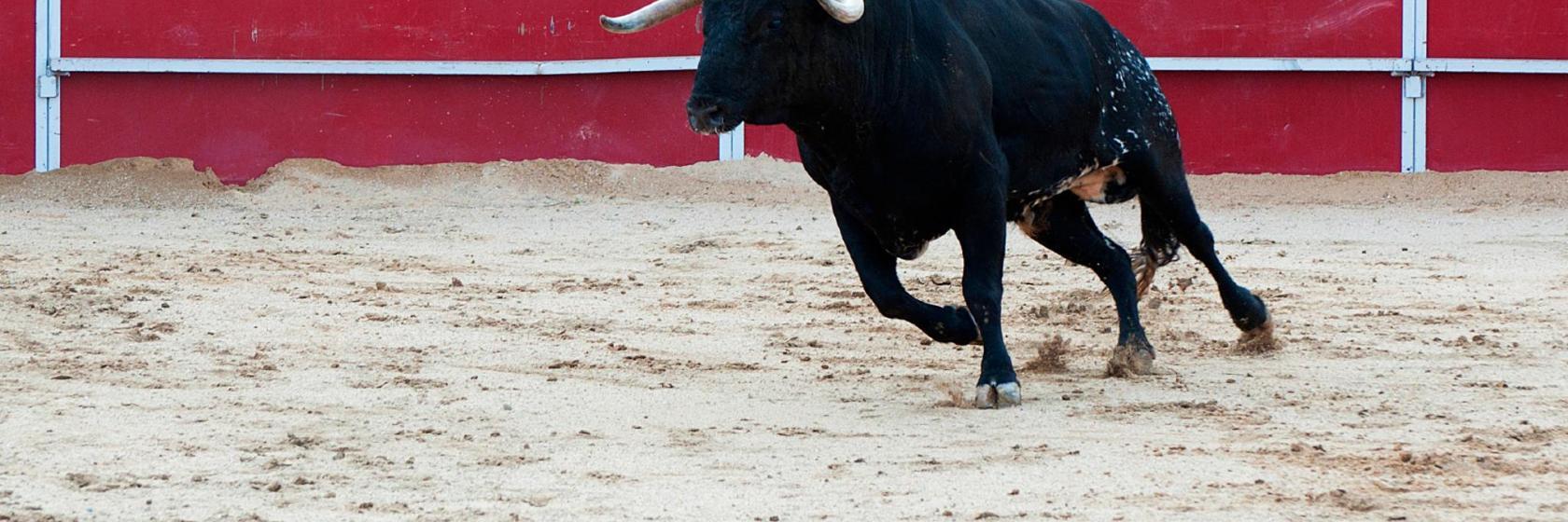 Murcia Bull Arena