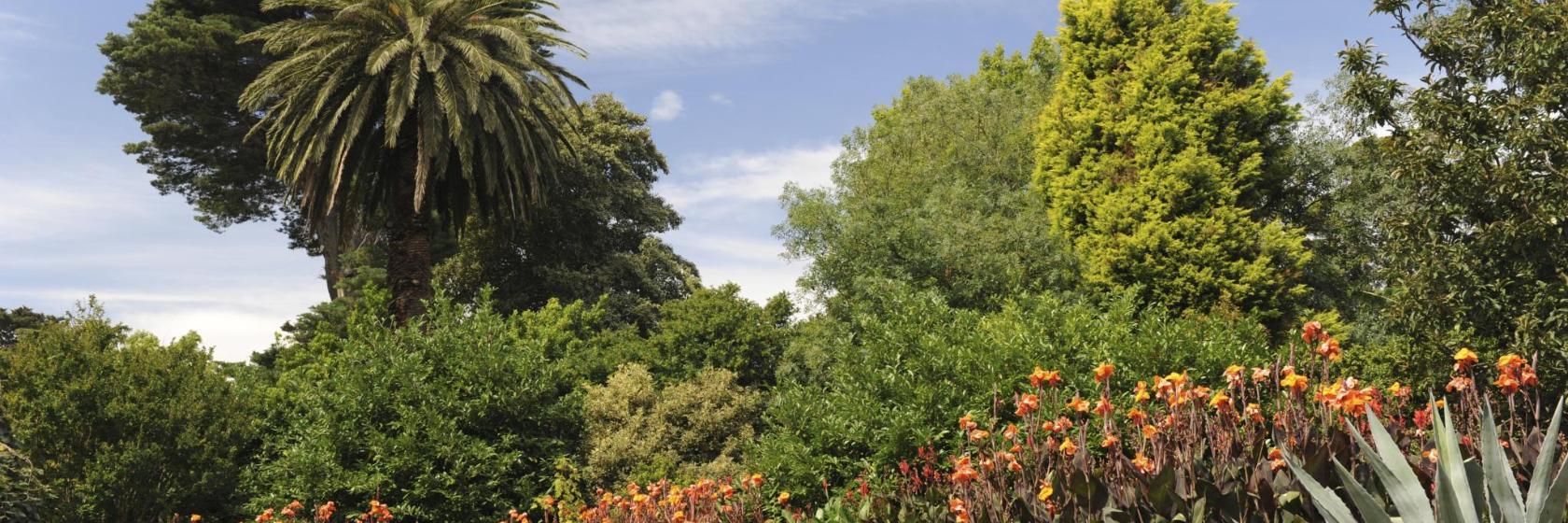 Real Jardín Botánico de Melbourne