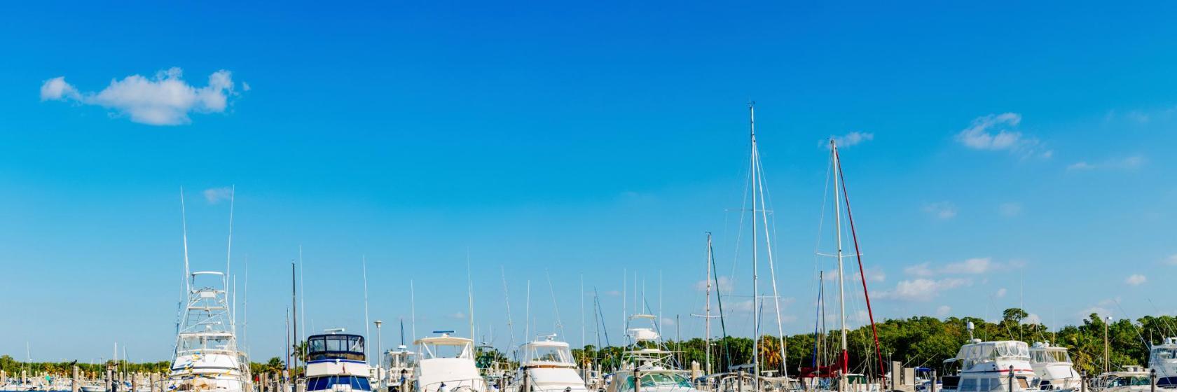 Dolphin Marina