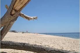 Playa de Comporta