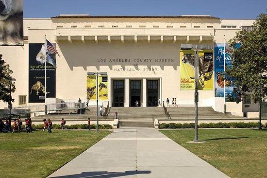 Museu de História Natural do Condado de Los Angeles
