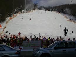 Hohe Wand Wiese